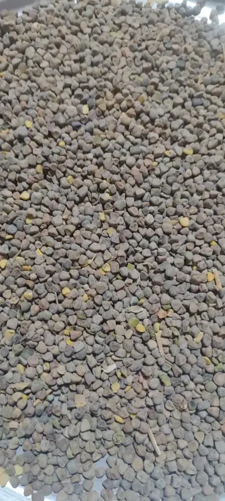 هُلَر خلر سنگنک|عمدهفروشی|اقلید, |دیوار