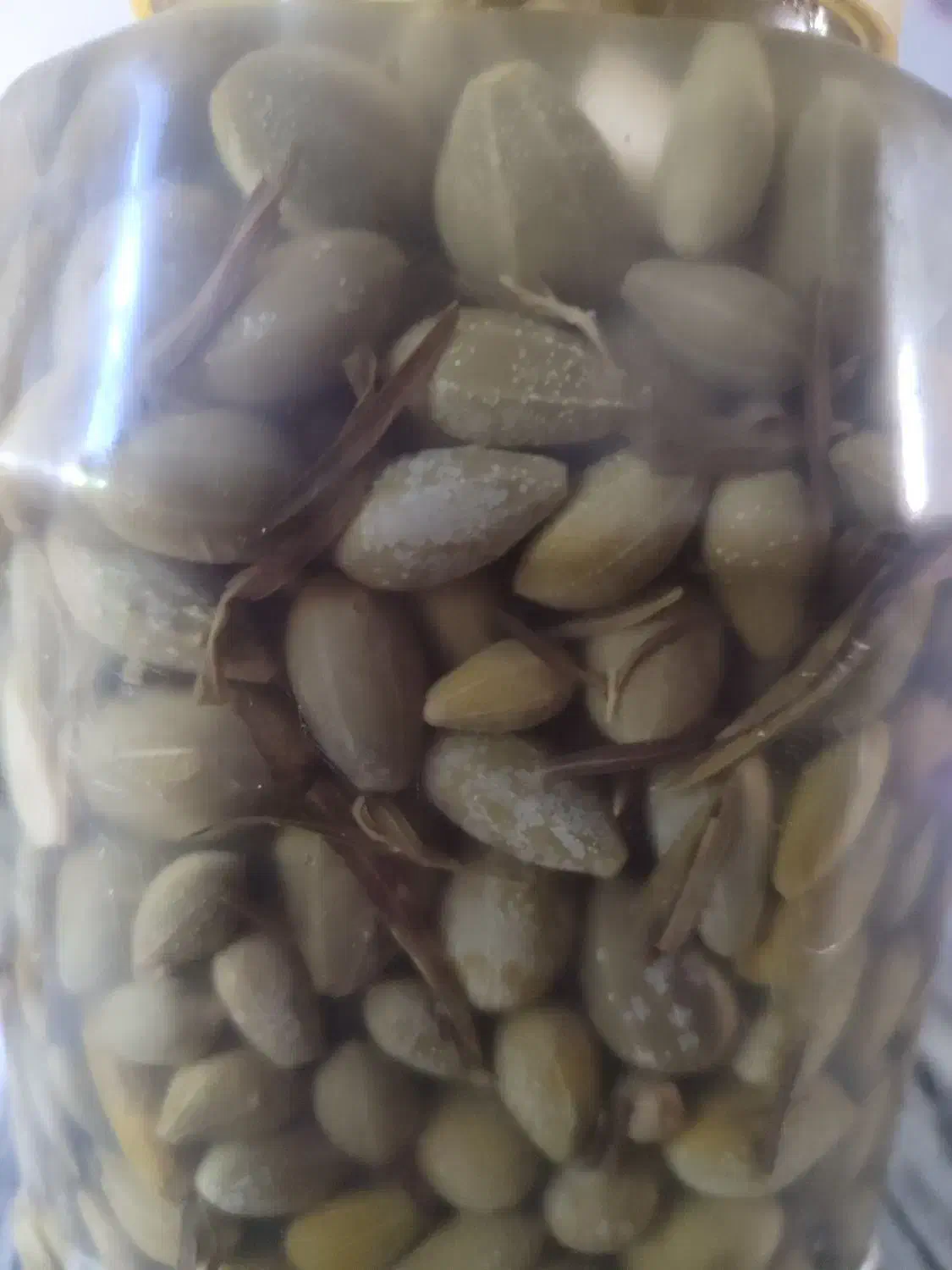 ترشی لگجی (هندوانه کوهی)|حراج|یاسوج, |دیوار