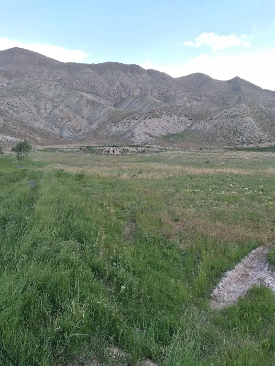 فروش زمین|فروش دفتر صنعتی، کشاورزی، تجاری|فیروزکوه, |دیوار