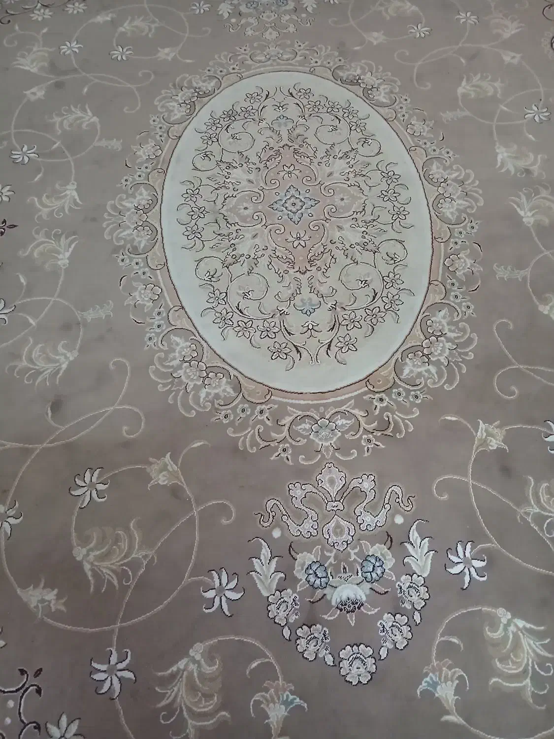 ۴ عدد ۱۲ متری گردویی|فرش|قم, باجک سه|دیوار