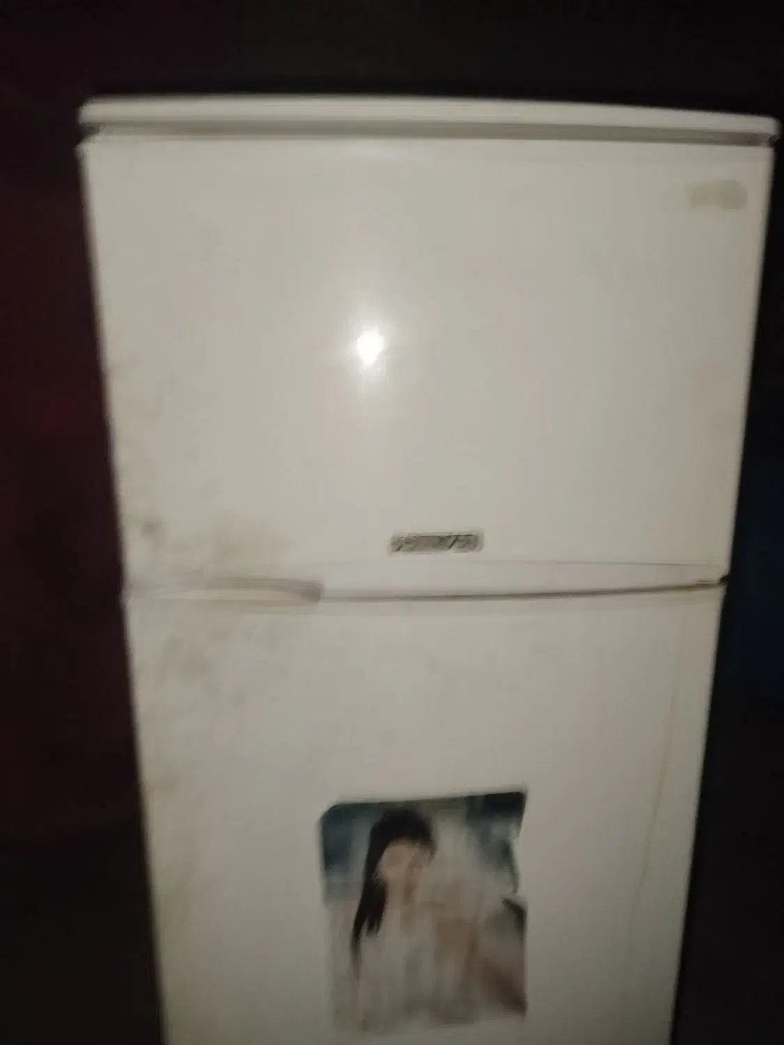 فروش یخچال فریزر 14فوت|یخچال و فریزر|شیراز, سعدیه جنوبی|دیوار