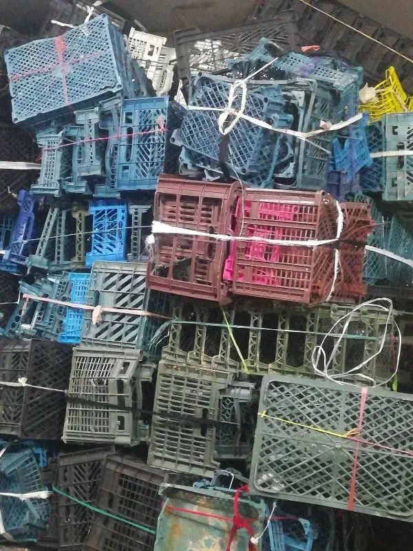 فروش سبد میوه|ظروف نگهدارنده، پلاستیکی، یک‌بارمصرف|مشهد, وحید|دیوار