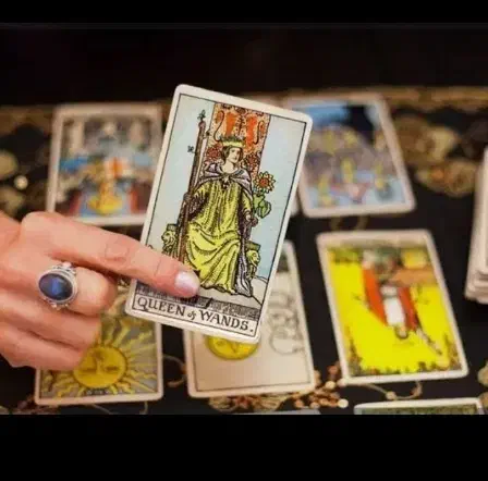 نیروی تاروت|فعالیت داوطلبانه تحقیقاتی|کرمان, |دیوار