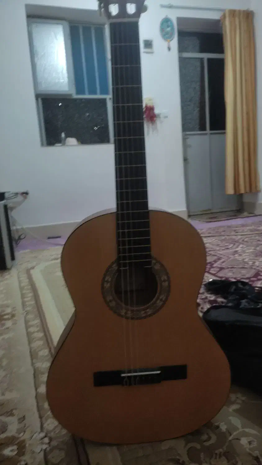 گیتار پارسی|گیتار، بیس، امپلیفایر|خورموج, |دیوار