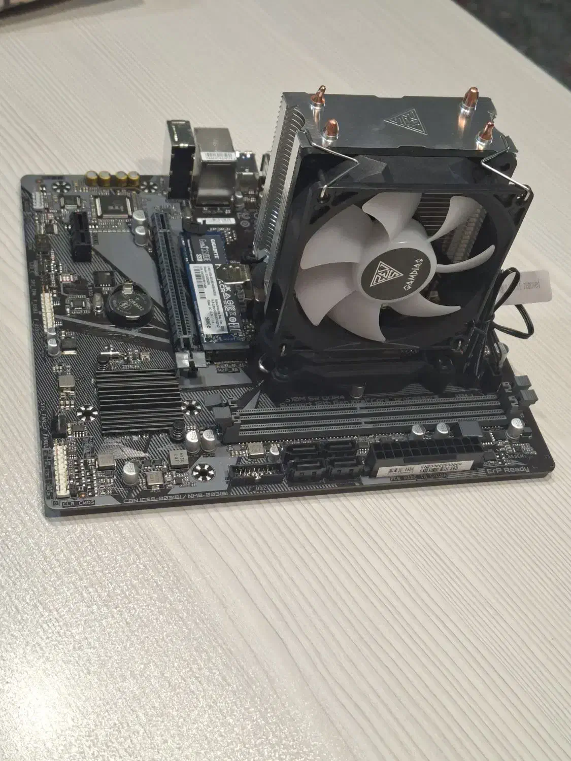 باندل 12100F|قطعات و لوازم جانبی رایانه|مشهد, ارشاد|دیوار