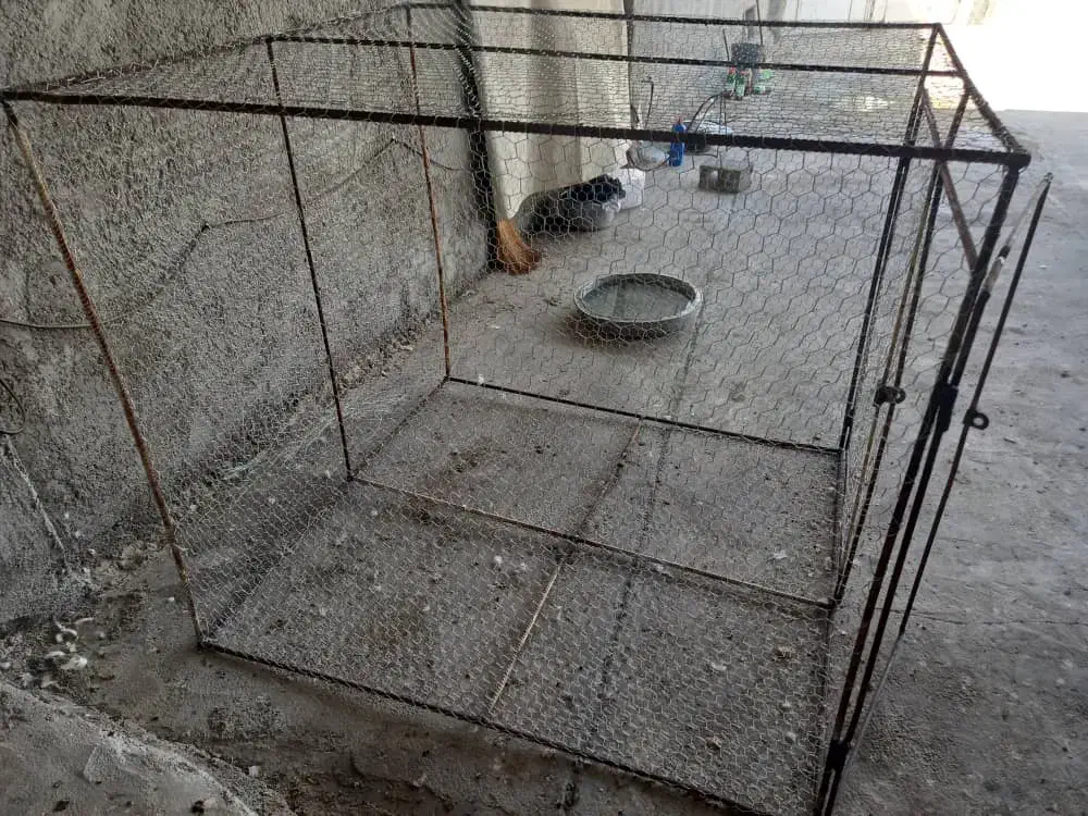 قفس پرنده|لوازم جانبی حیوانات|برازجان, |دیوار