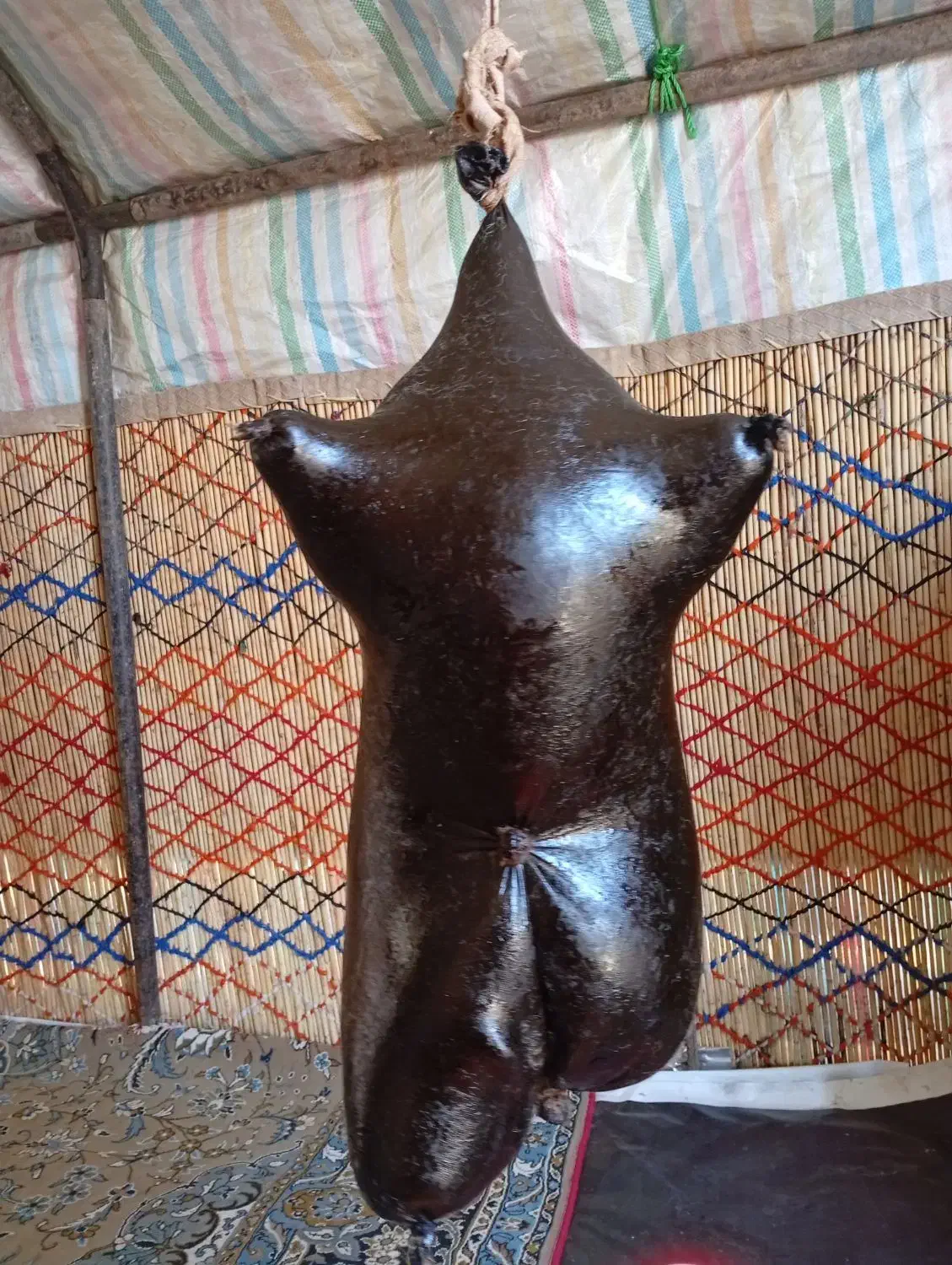 حیضه گوسفندی|خوردنی و آشامیدنی|ماهیدشت, |دیوار