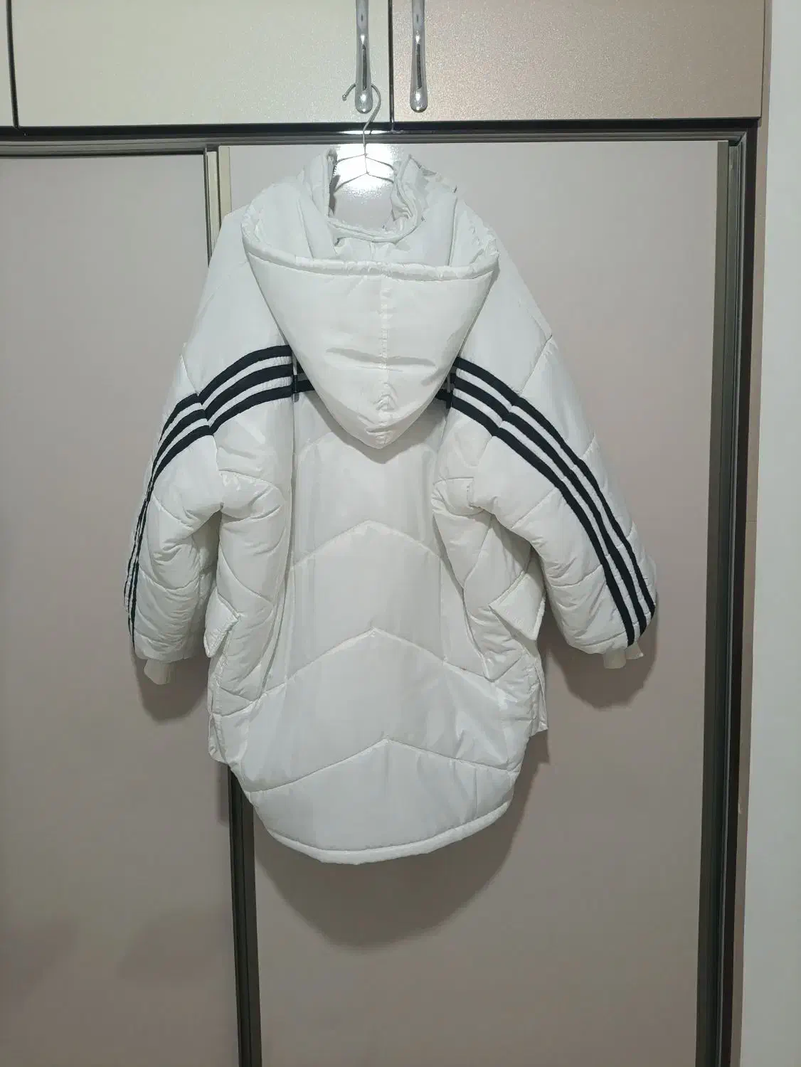 کاپشن بزرگ|لباس|اردبیل, |دیوار