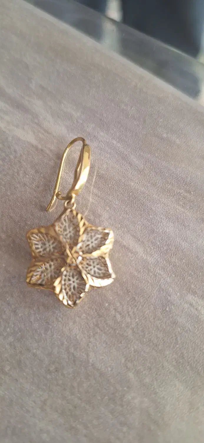 انگشتر طلا گمشده .شبیه همین گوشواره|جواهرات|نجفآباد, یزدانشهر|دیوار