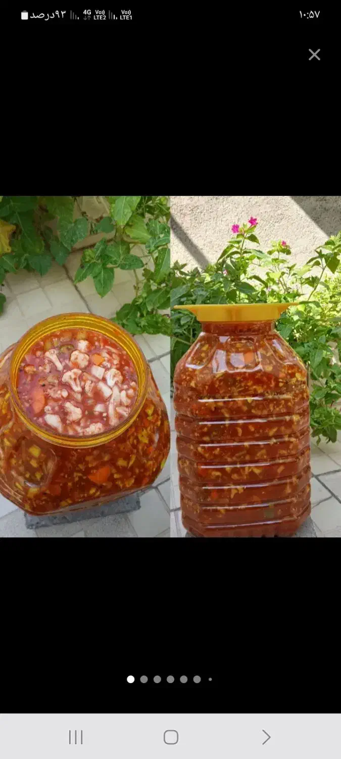 ترشیجات بانو|حراج|تربت‌حیدریه, قاسم آباد|دیوار