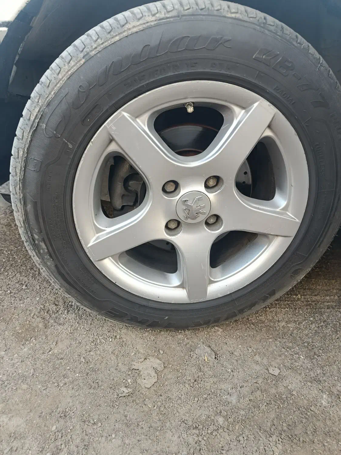 تابلو رینگ|حراج|زابل, |دیوار