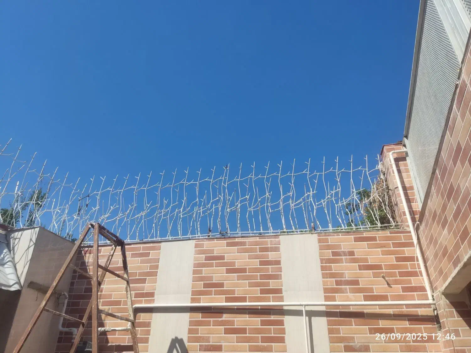 دزگیر منزل حافظ خانه های شما شاخ گوزنی ارتفاع بلند|خدمات پیشه و مهارت|گرگان, |دیوار