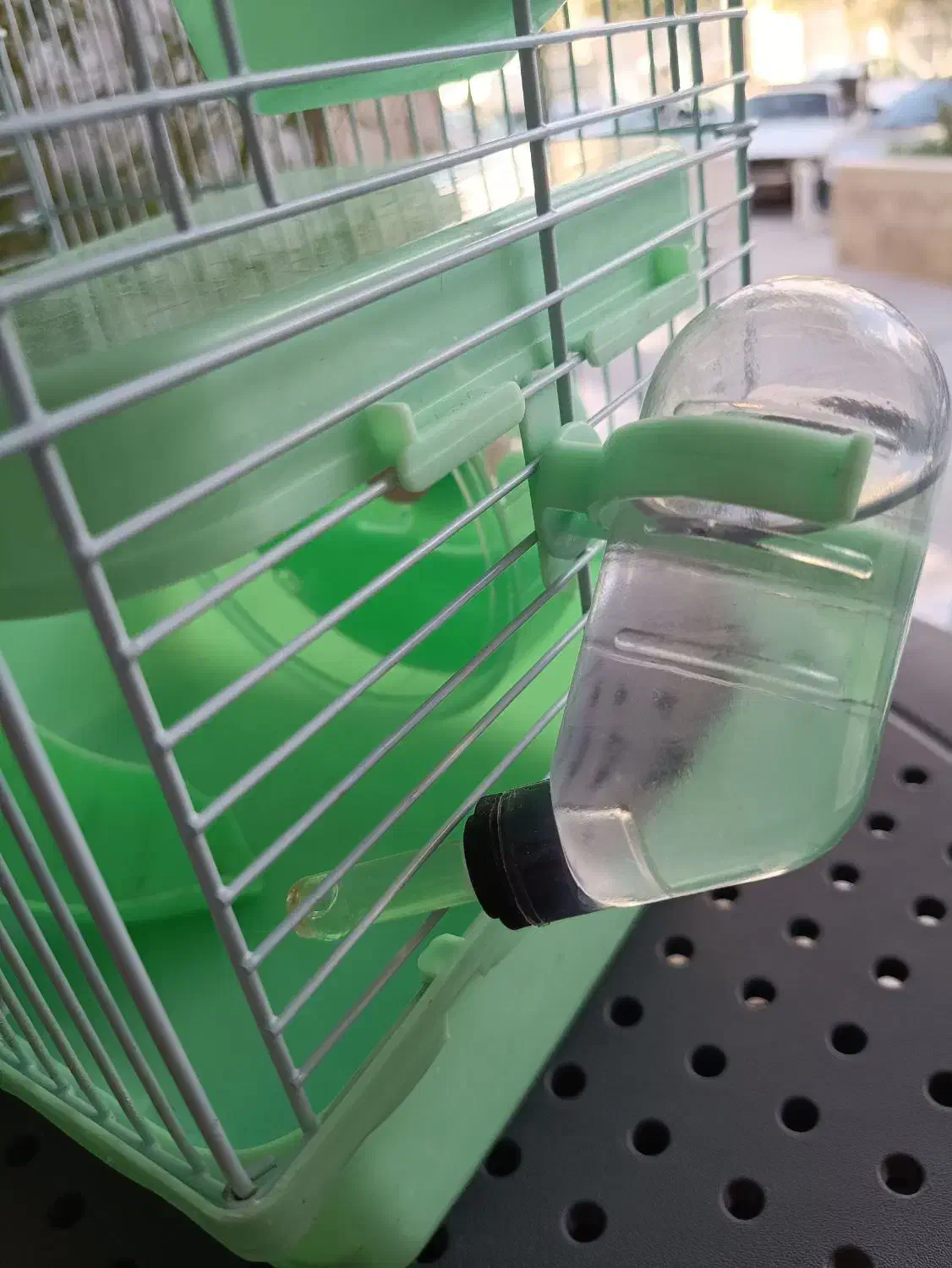 قفس همستر وارداتی با هدیه|لوازم جانبی حیوانات|قزوین, |دیوار