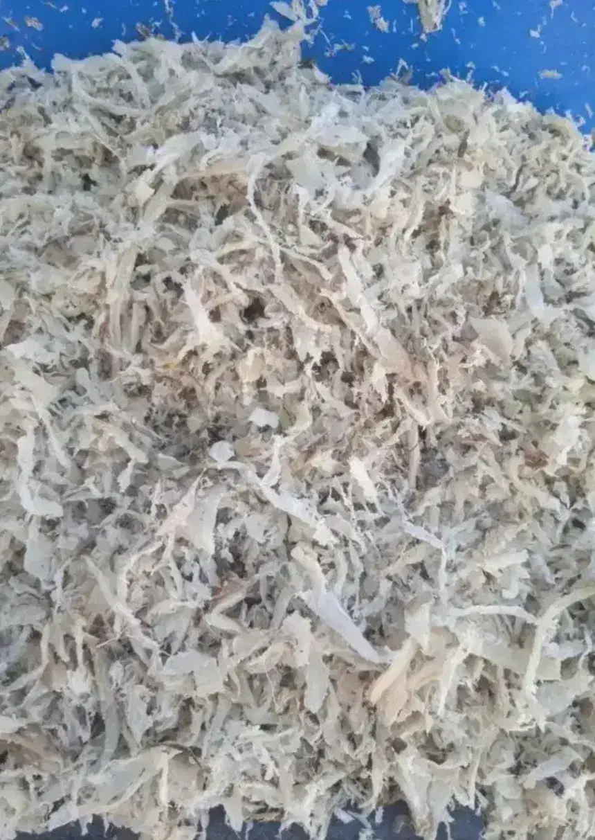 تفاله چغندر|لوازم جانبی حیوانات|خلخال, |دیوار