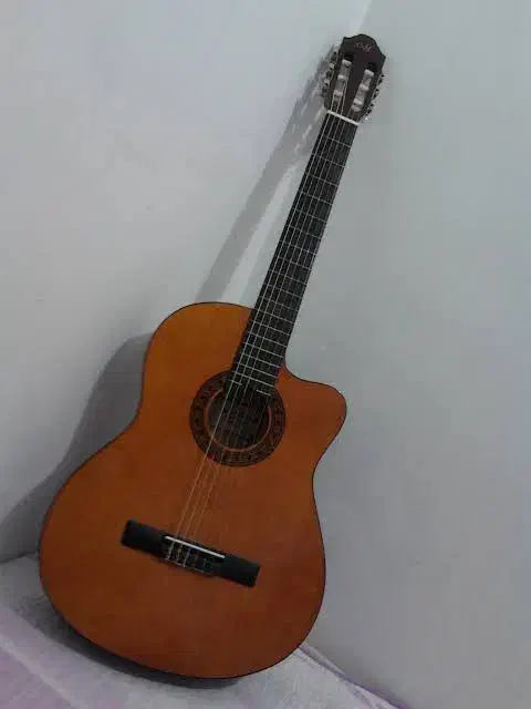 آموزش رایگان گیتار|خدمات آموزشی|داراب, |دیوار