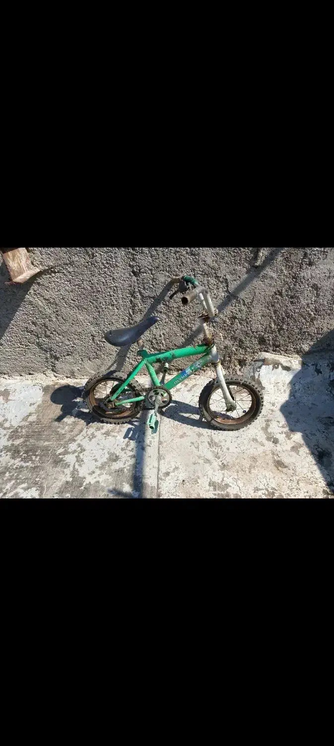 دو عدد دوچرخه فروشی فوری|دوچرخه، اسکیت، اسکوتر|پیشوا, |دیوار