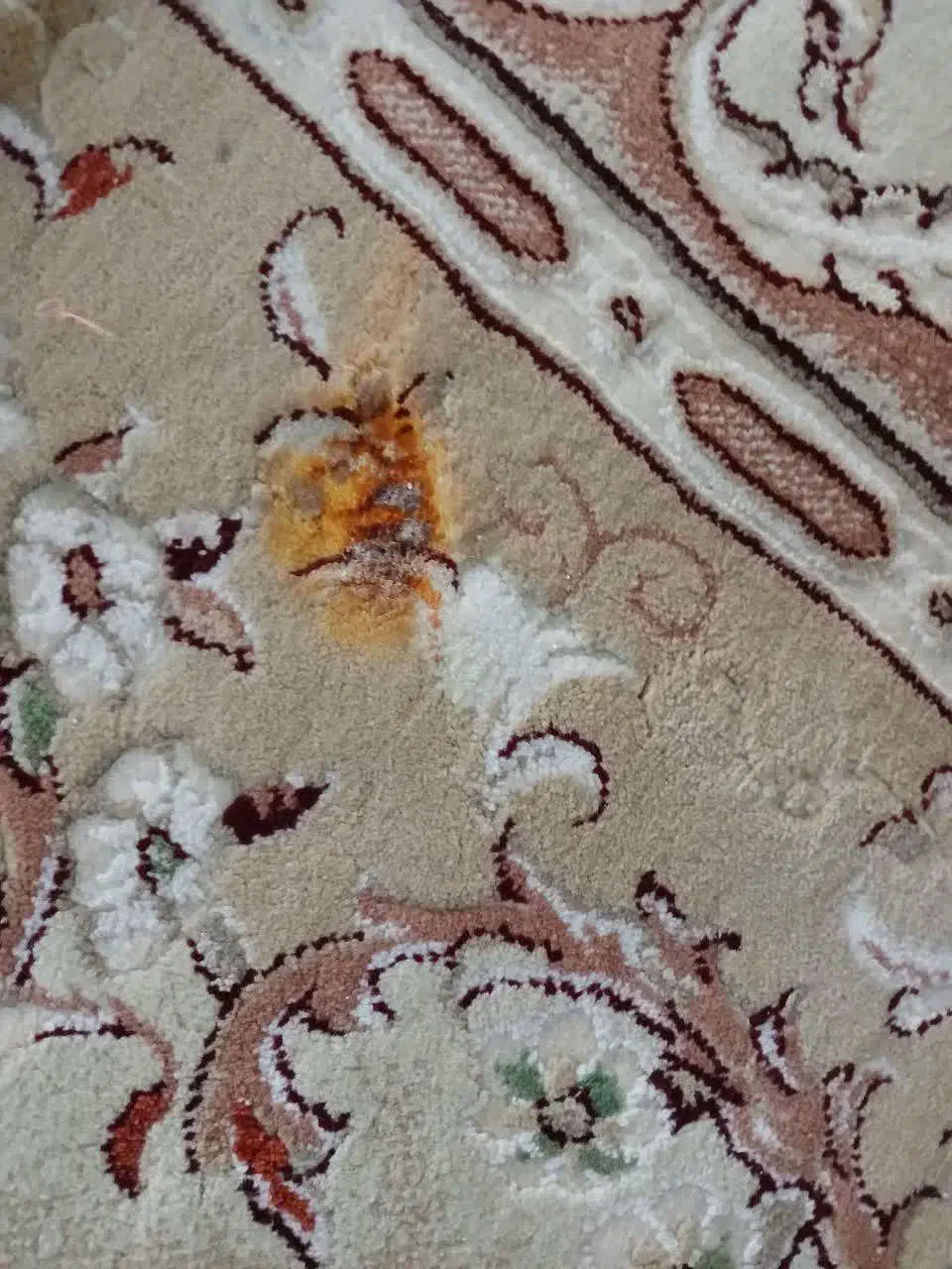 تک ۱۲ متری|فرش|حمیدیا, |دیوار