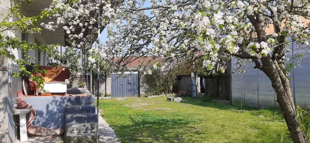اجاره ورزش/ویلا۴۰۰مترروزانه شبانه کوتاه مدت ساحلی|اجارهٔ کوتاه‌مدت ویلا و باغ|خشکبیجار, |دیوار