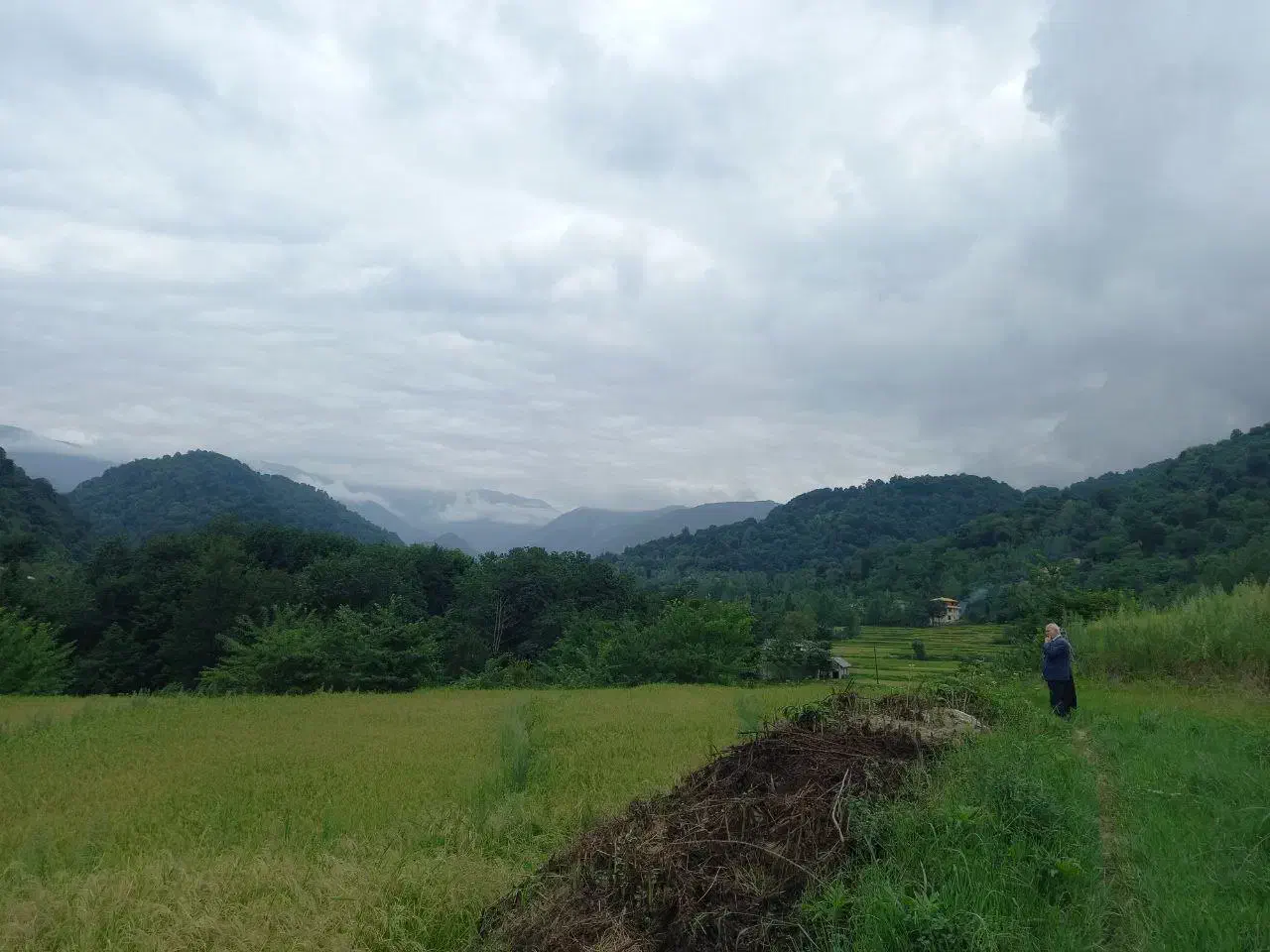 ۳۰۰ مترزمین در روستای کلوان،  شهرستان شفت.گیلان|فروش زمین و ملک کلنگی|احمدسرگوراب, |دیوار