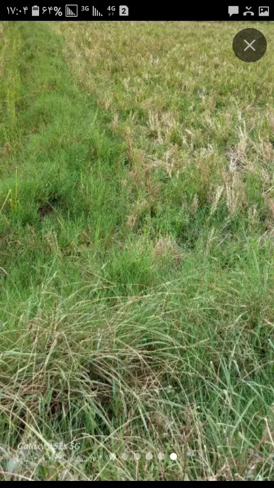 فروش زمین کشاورزی|فروش دفتر صنعتی، کشاورزی، تجاری|اصفهان, براآن شمالی|دیوار