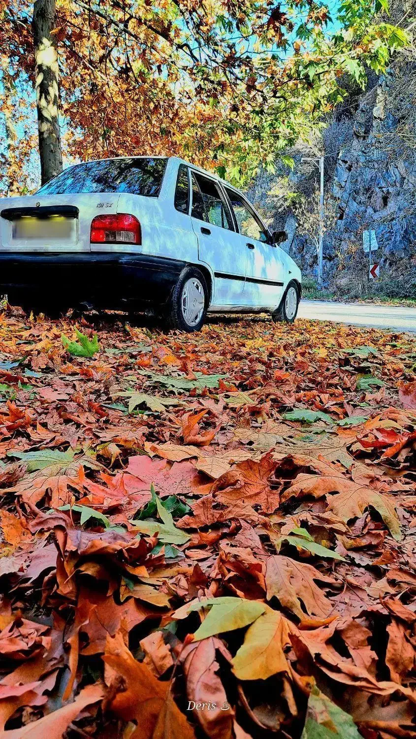 پراید مدل ۸۰|خودرو سواری و وانت|گلبهار, شهر جدید گلبهار|دیوار