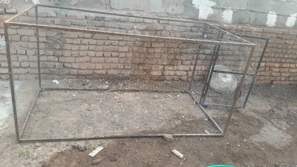 قفس|لوازم جانبی حیوانات|رفسنجان, |دیوار