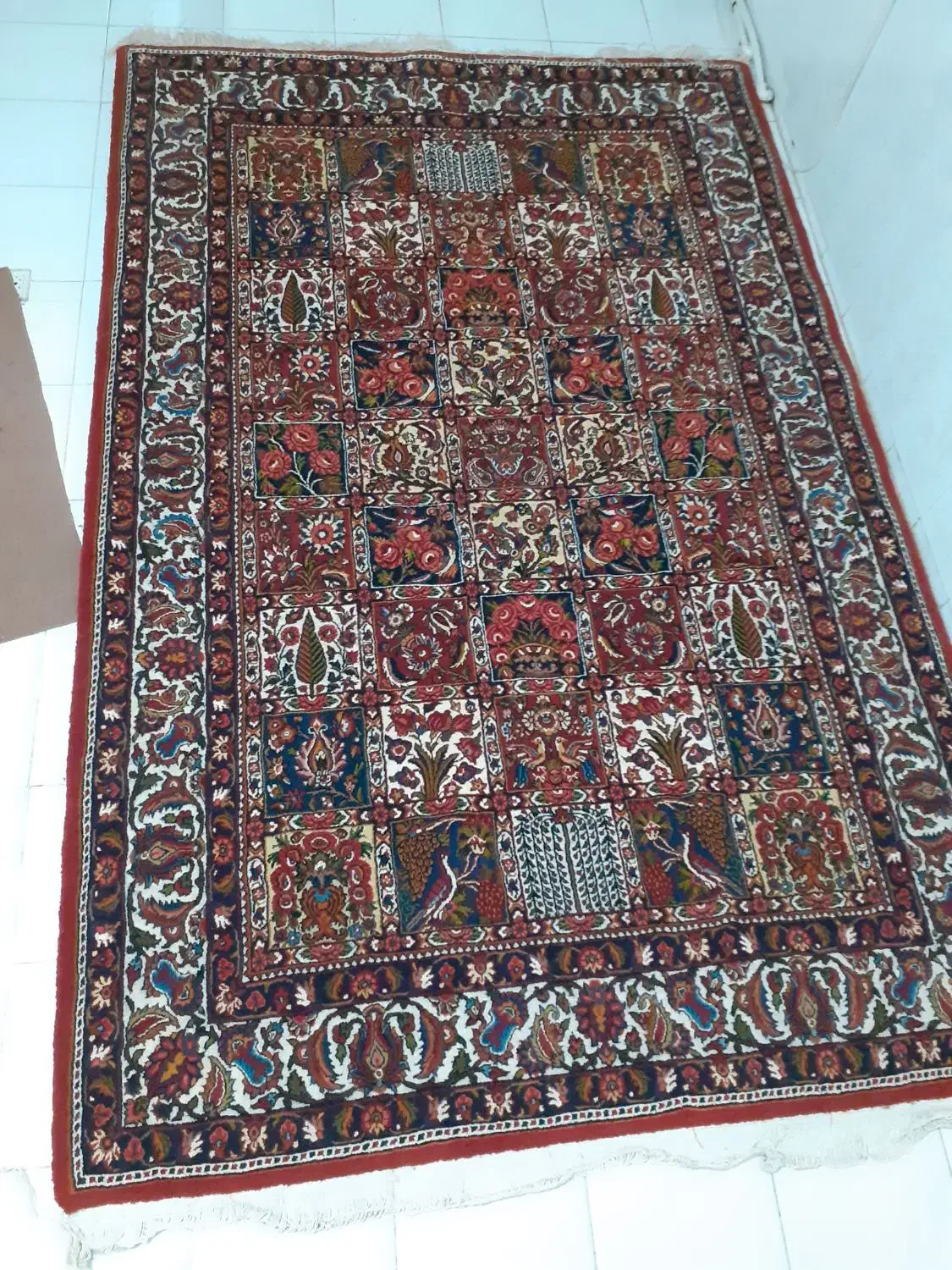 قالی ۱.۷۰در۲.۶۰|فرش|شهرکرد, |دیوار