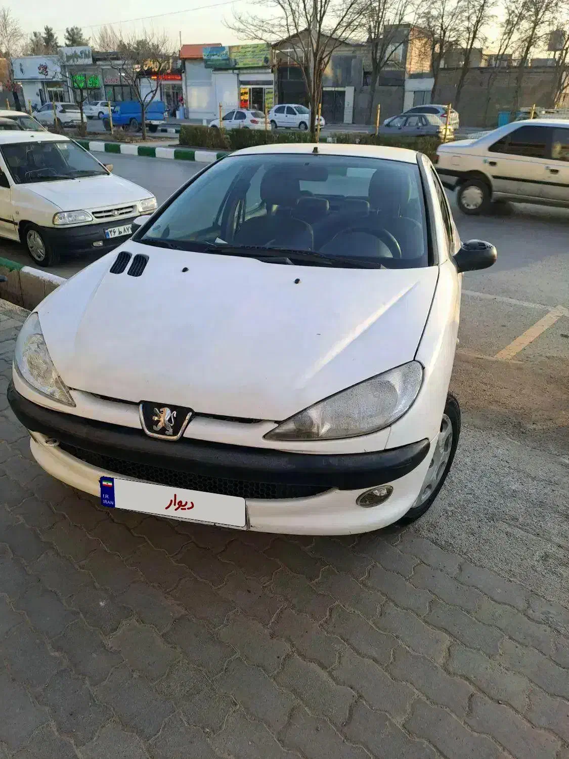 پژو۲۰۶|خودرو سواری و وانت|مشهد, کلاته برفی|دیوار