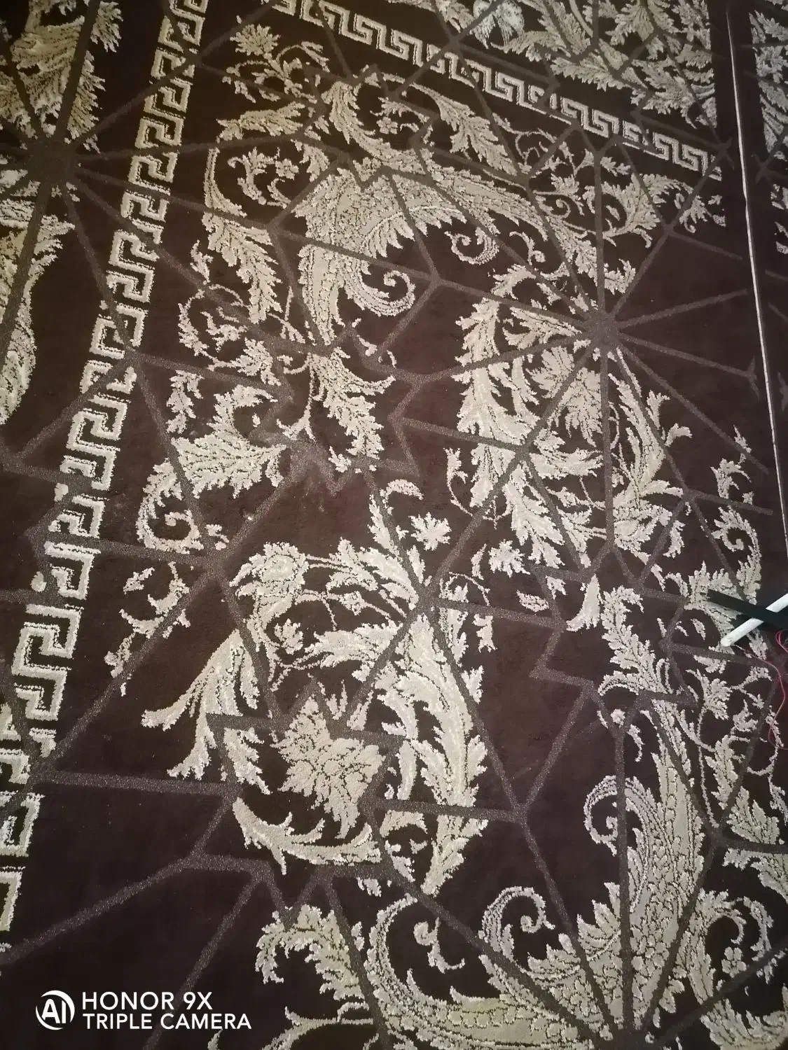 گلیم فرش 12 متری|گلیم، جاجیم، گبه|برازجان, |دیوار