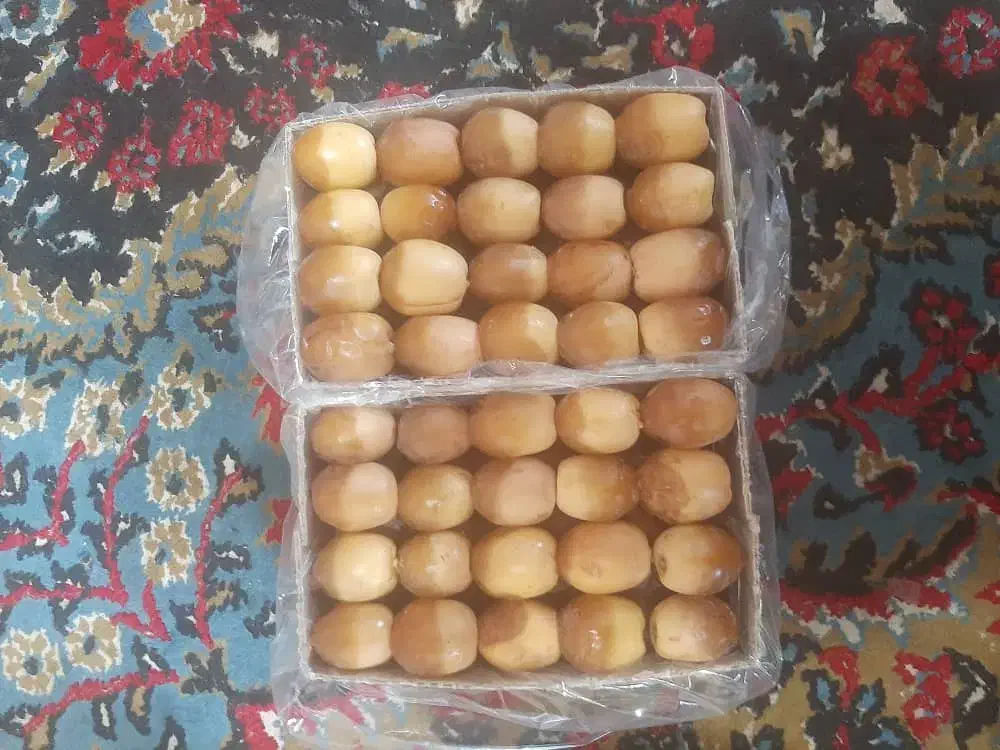 خرما هلیله|عمده‌فروشی|کرمان, |دیوار
