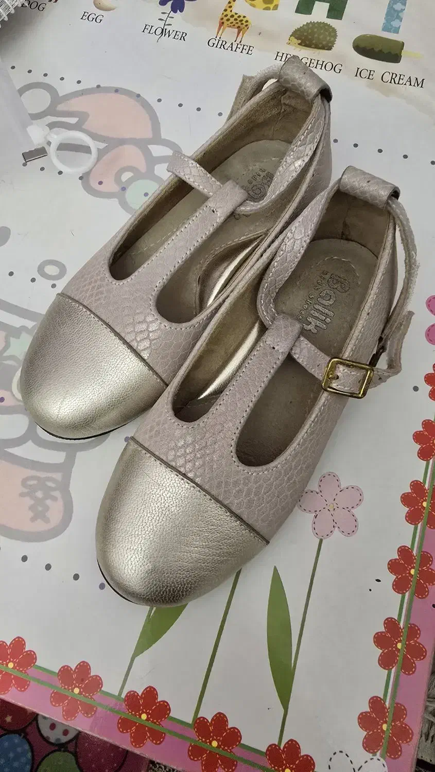 کفش دخترانه|کیف، کفش، کمربند|تهران, شهران شمالی|دیوار