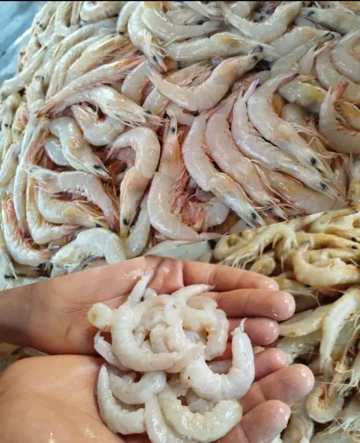 میگو پاک کنی|استخدام خدمات فروشگاه و رستوران|برازجان, |دیوار