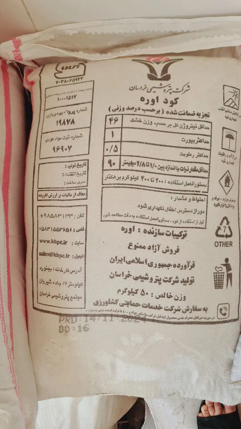کودسفید|گل و گیاه طبیعی|آزادشهر, |دیوار