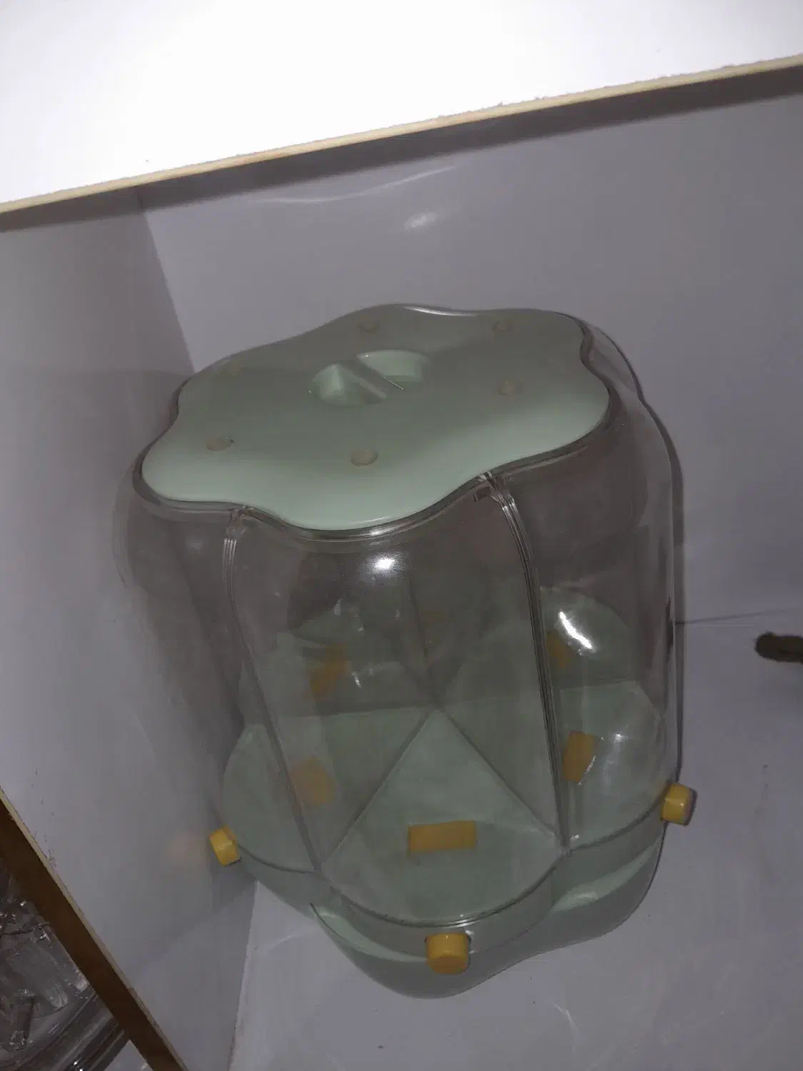 جاحبوباتی|ظروف نگهدارنده، پلاستیکی، یک‌بارمصرف|خرم‌آباد, |دیوار