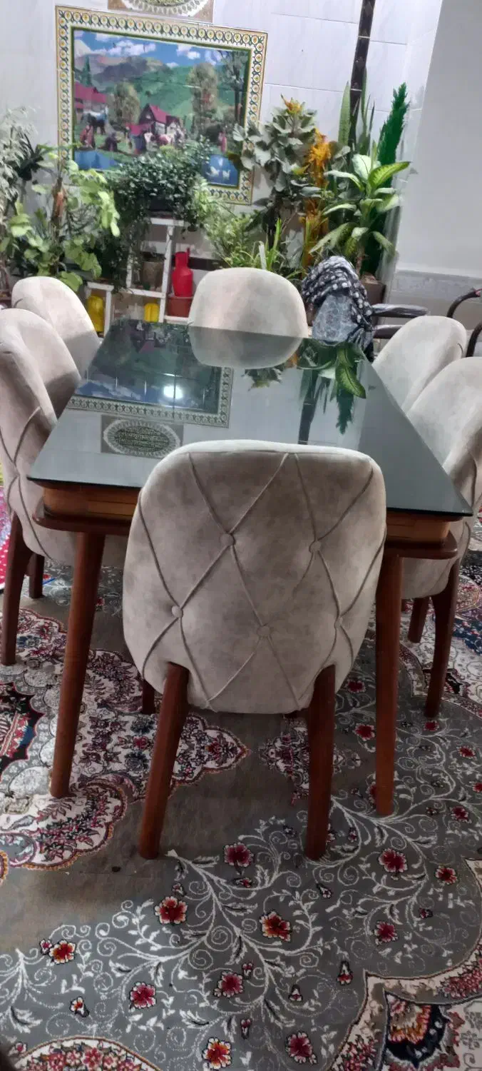 میز ناهار خوری ۶ نفره|میز و صندلی غذاخوری|یاسوج, |دیوار