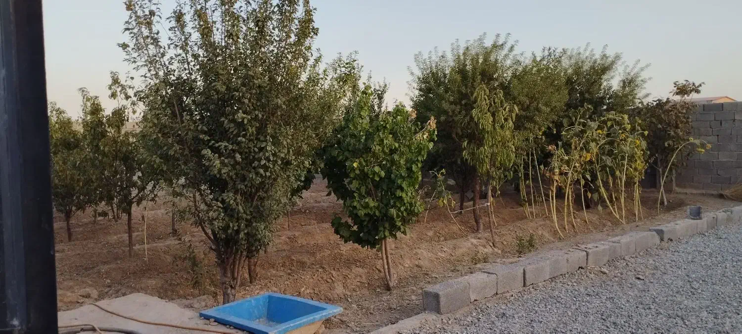 ۴۰۰ متر باغچه ۵۰متربناا معاوضه باخودرو تصادفی واحد|فروش خانه و ویلا|محمدشهر, عباس آباد|دیوار