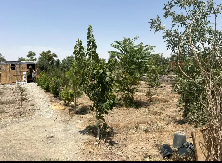 فروشی|فروش زمین و ملک کلنگی|اسلامشهر, کاشانک|دیوار