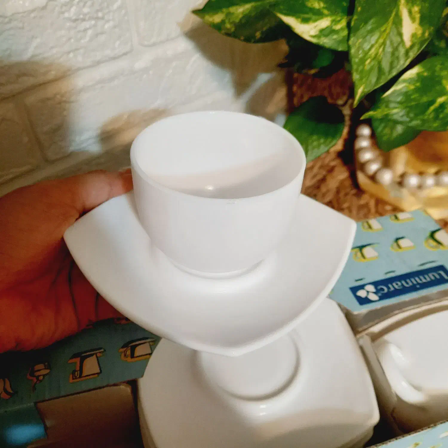 فنجان لومینارک|ظروف سرو و پذیرایی|ارومیه, |دیوار