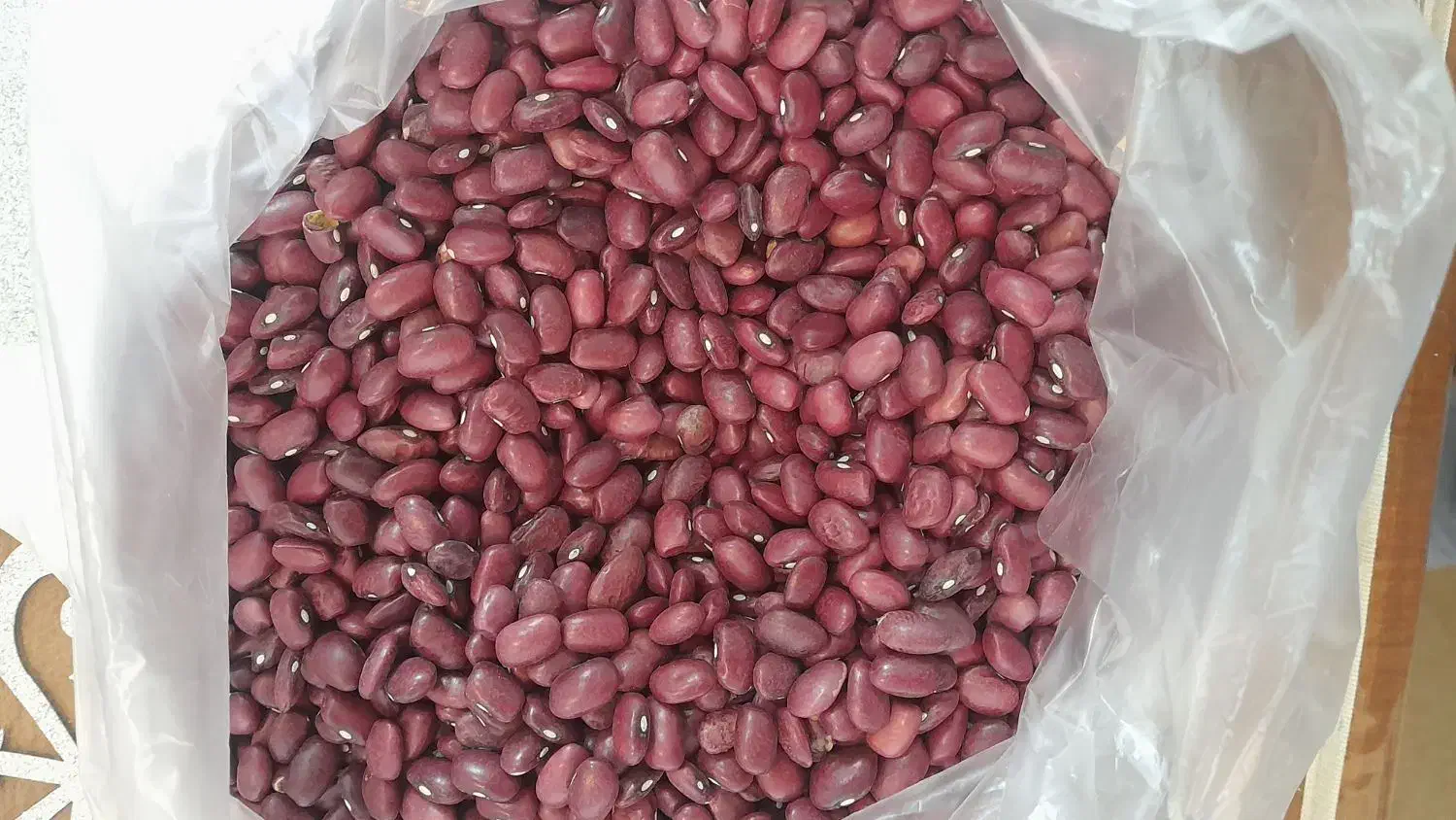 حبوبات درجه یک لرستان|خوردنی و آشامیدنی|تهران, تاکسیرانی|دیوار