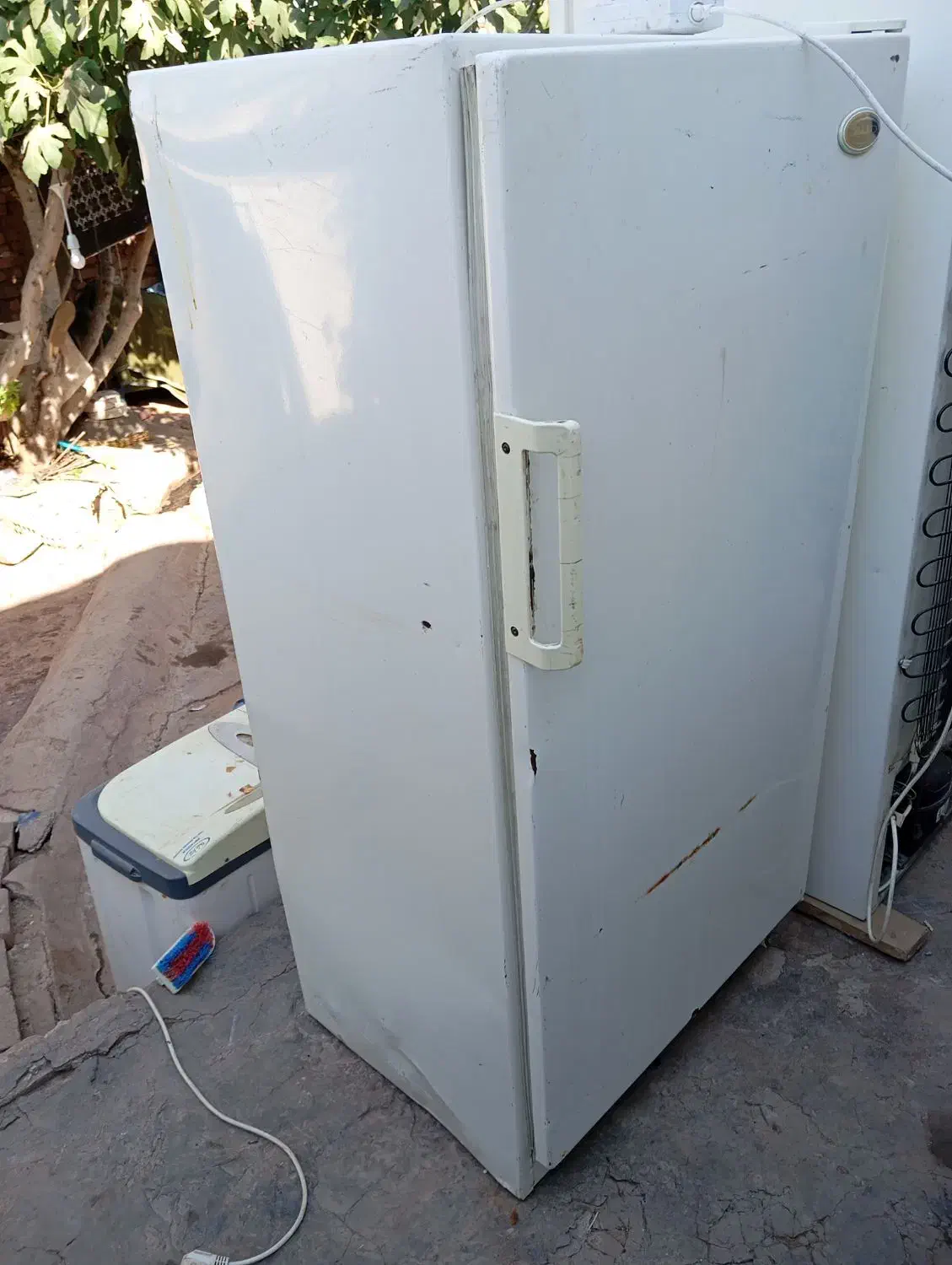 خرید یخچال سوخته و سالم شما در درب منزل|یخچال و فریزر|تربت جام, پاسداران|دیوار