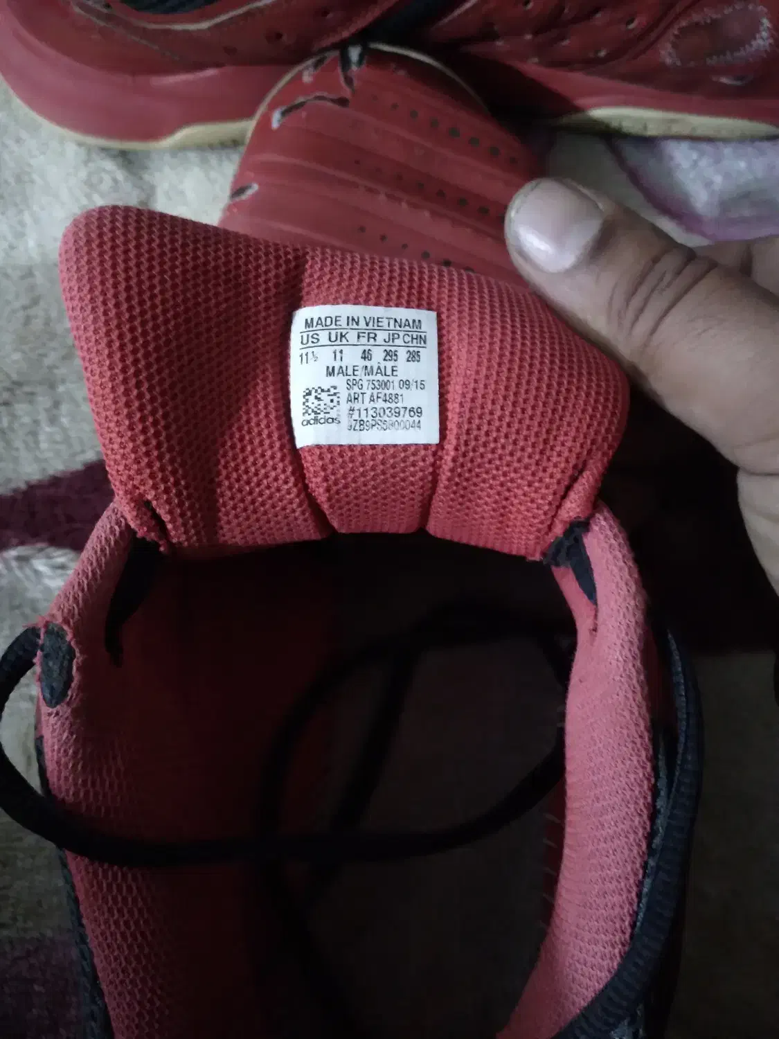 کفش سالنی|کیف، کفش، کمربند|گرگان, |دیوار