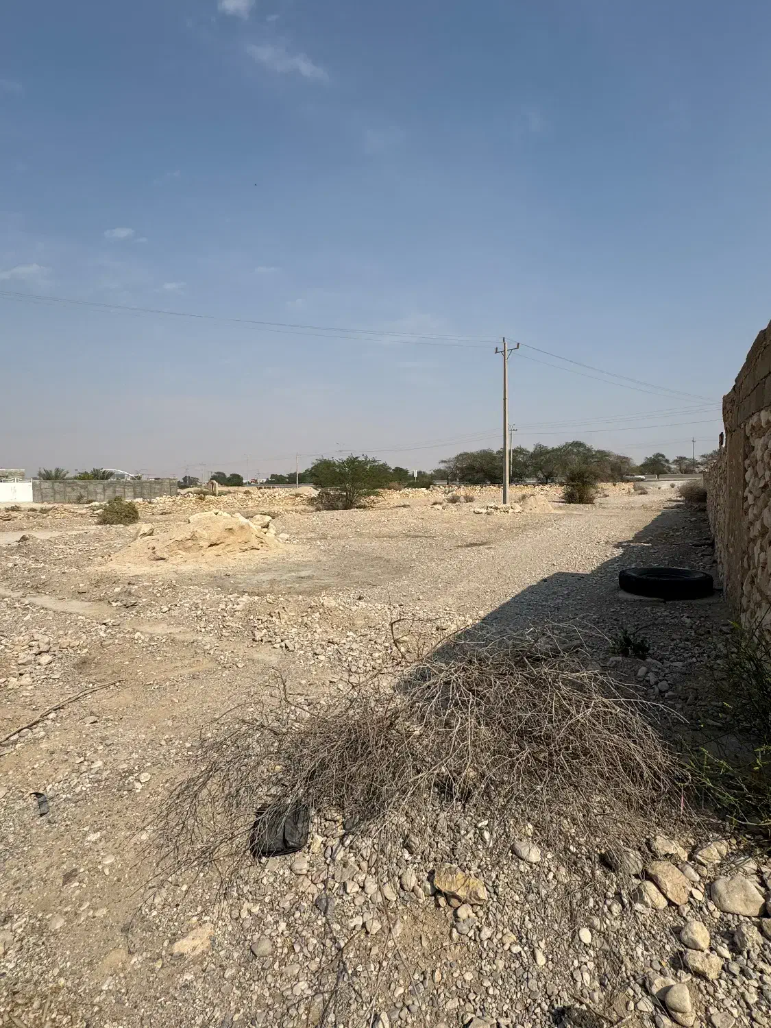 زمین محمد اباد|فروش زمین و ملک کلنگی|خورموج, |دیوار