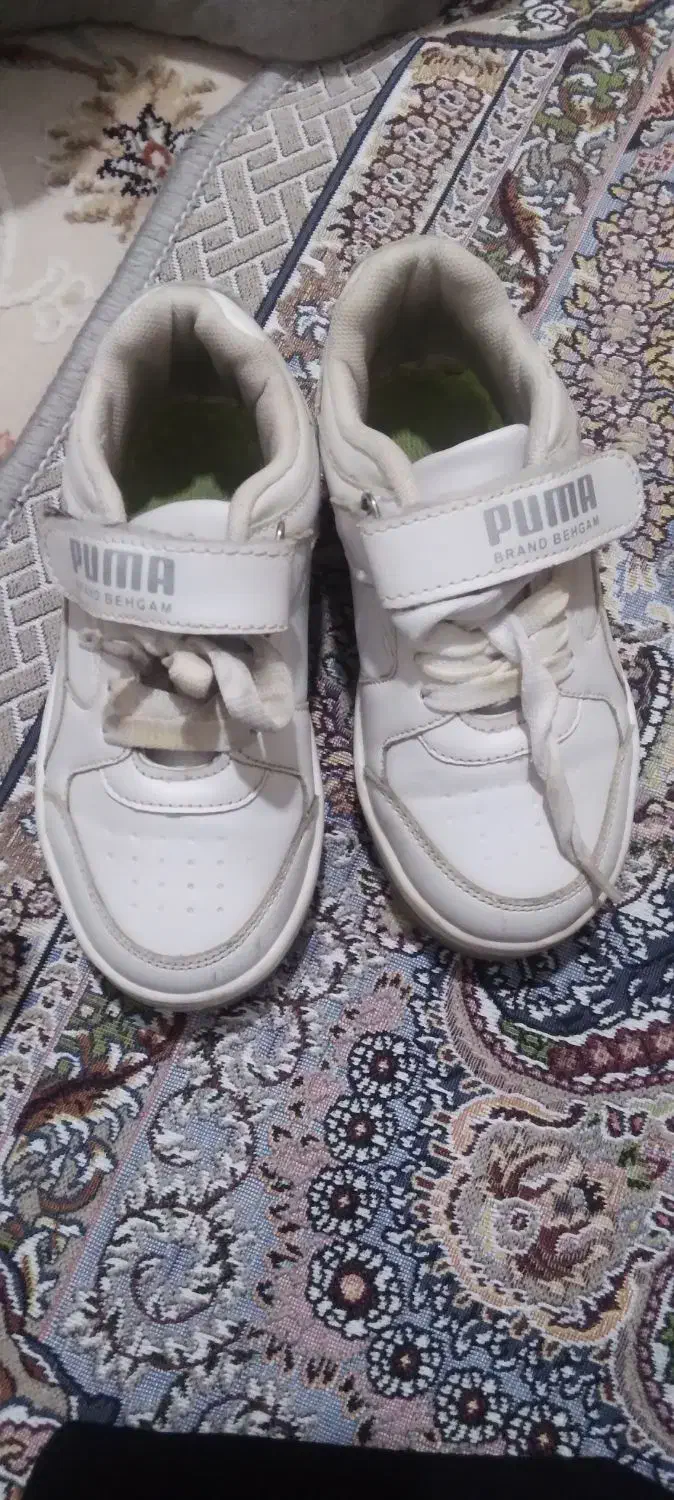 کفش|کیف، کفش، کمربند|کوهدشت, |دیوار