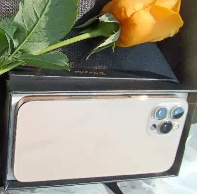 آیفون 12پرو 256گیگ|موبایل|فیروزآباد (فارس), |دیوار