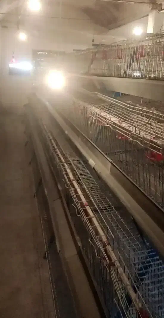 قفس مرغ تخم گذار|لوازم جانبی حیوانات|ابریشم, |دیوار