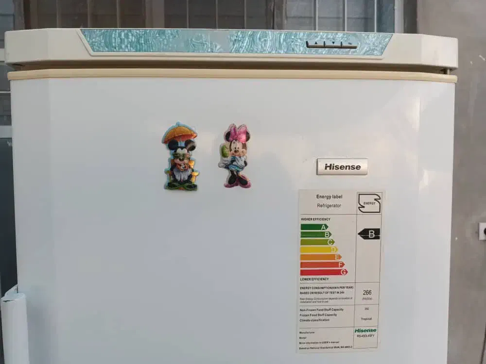 یخچال های سنس|یخچال و فریزر|فسا, |دیوار