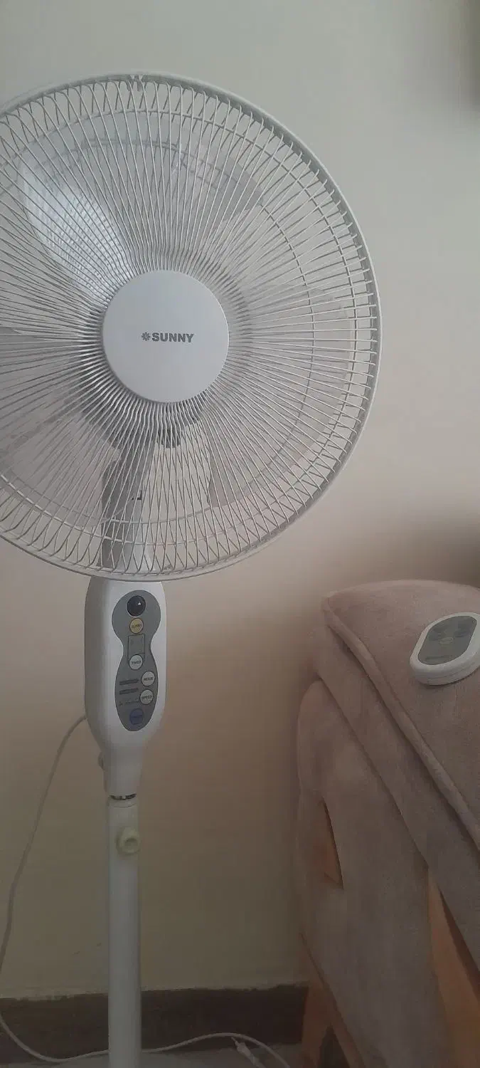 تعدادی وسایل منزل|تخت و سرویس خواب|بهار, |دیوار