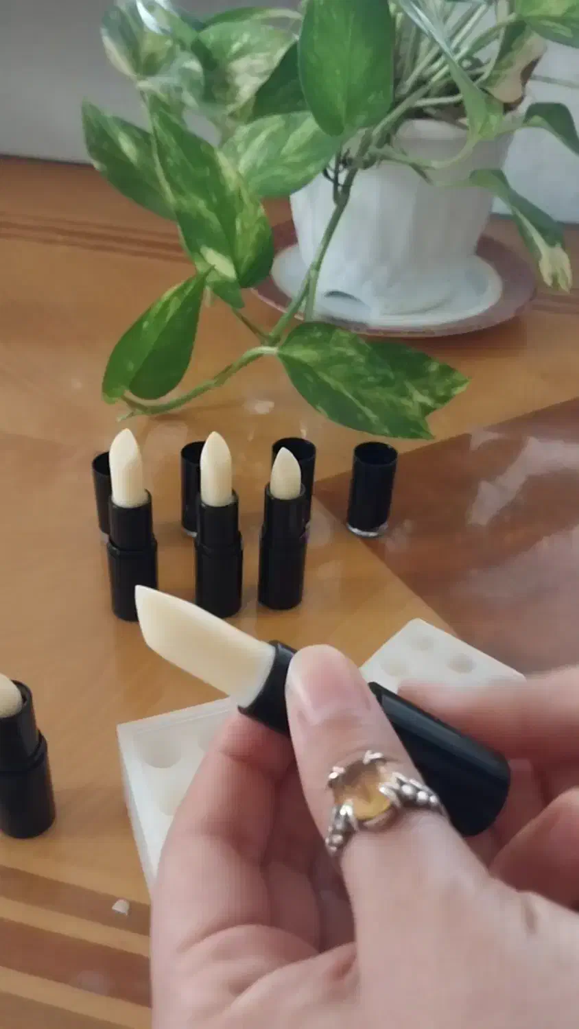 بالم لب ارگانیک|آرایشی، بهداشتی، درمانی|جهرم, |دیوار