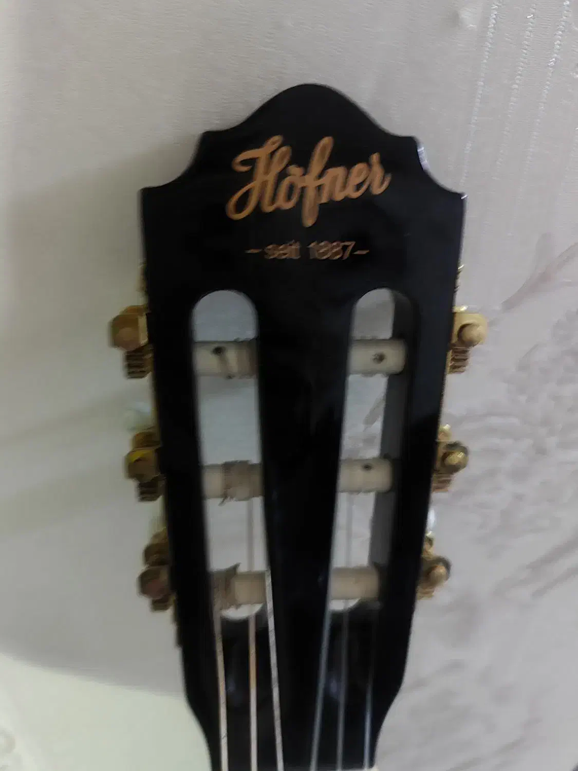 گیتار هونفر بلک|گیتار، بیس، امپلیفایر|کرمان, |دیوار