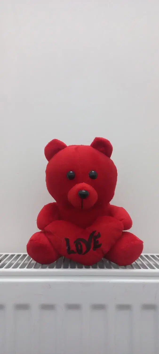 خرس قرمز|اسباب‌‌بازی|فلاورجان, |دیوار